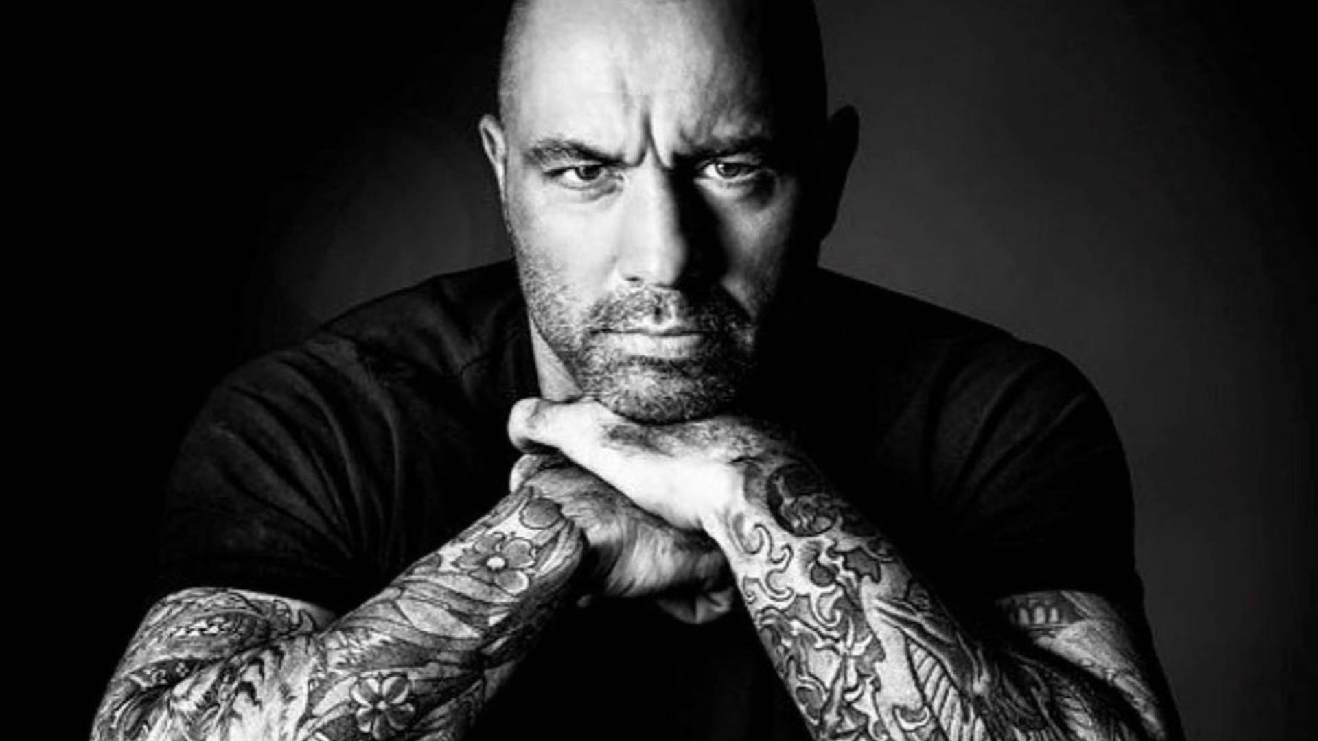 Podcast Host Joe Rogan Background