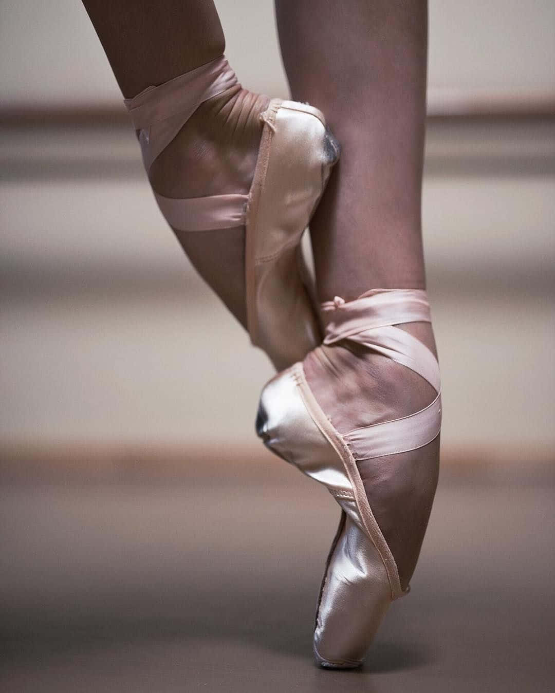 Pointe Shoes Ballerina Toes