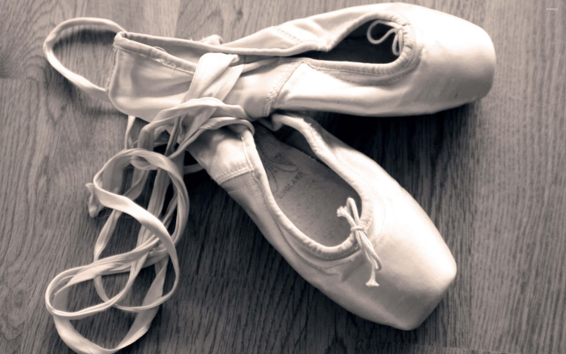 Pointe Shoes Elastic Straps Background