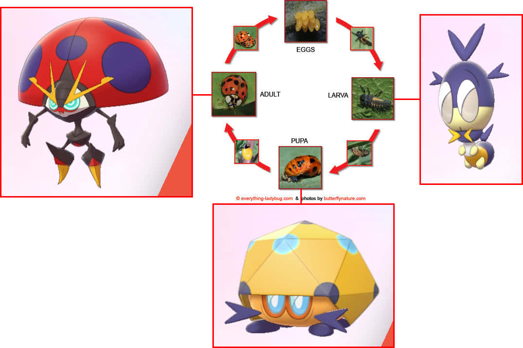 Pokémon Blipbug Bug Cycle Background