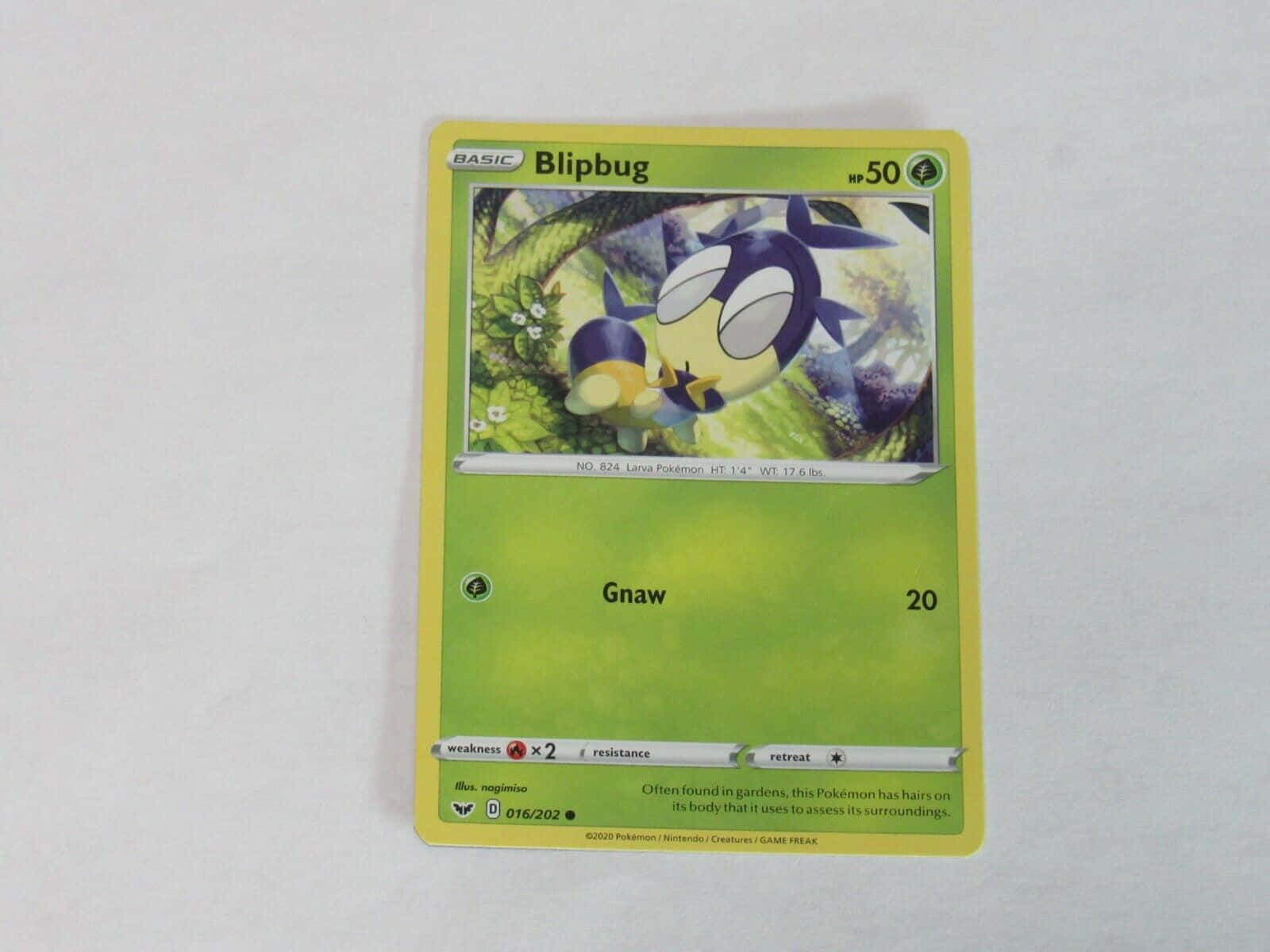 Pokémon Blipbug Game Card Background