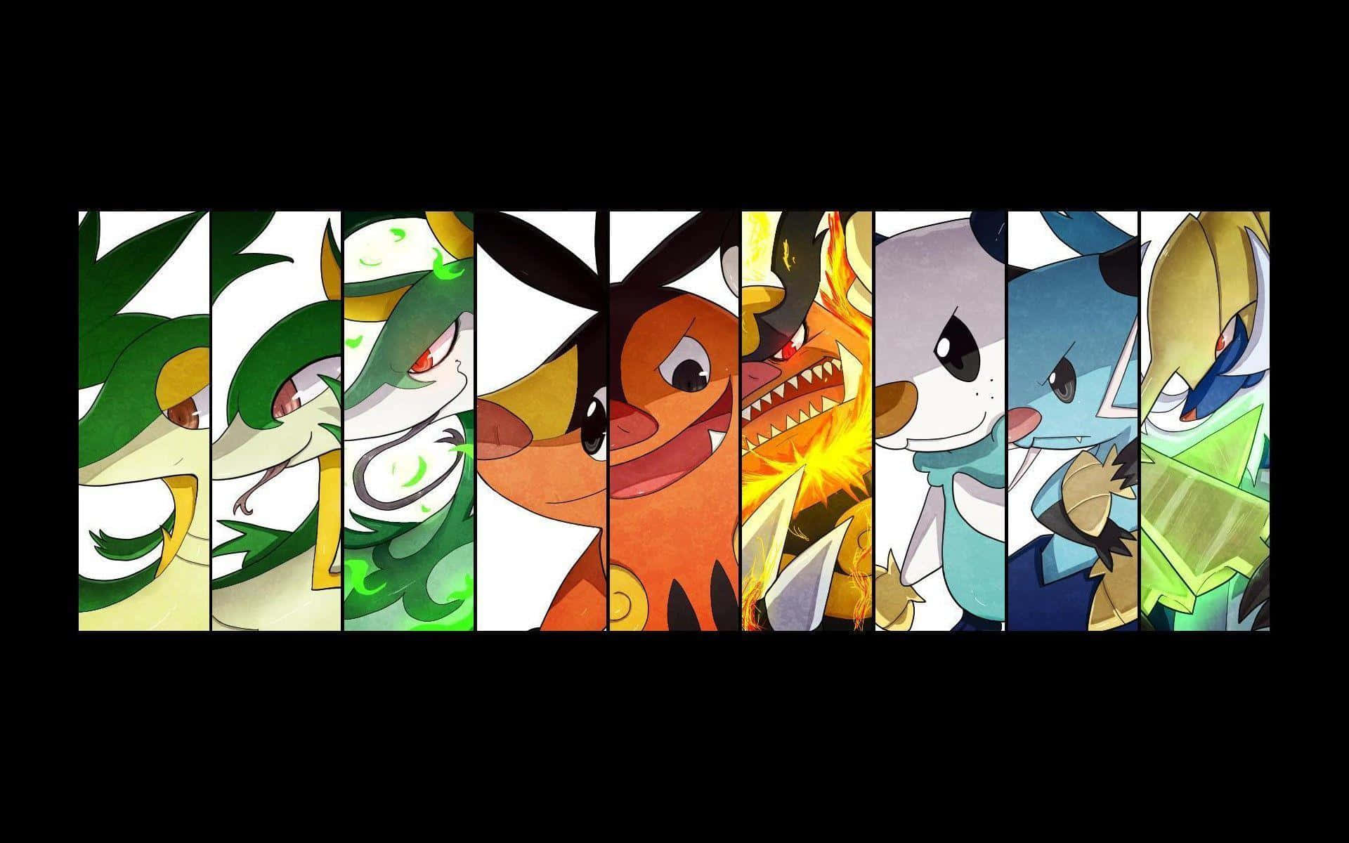 Pokemon Collage With Emboar Background