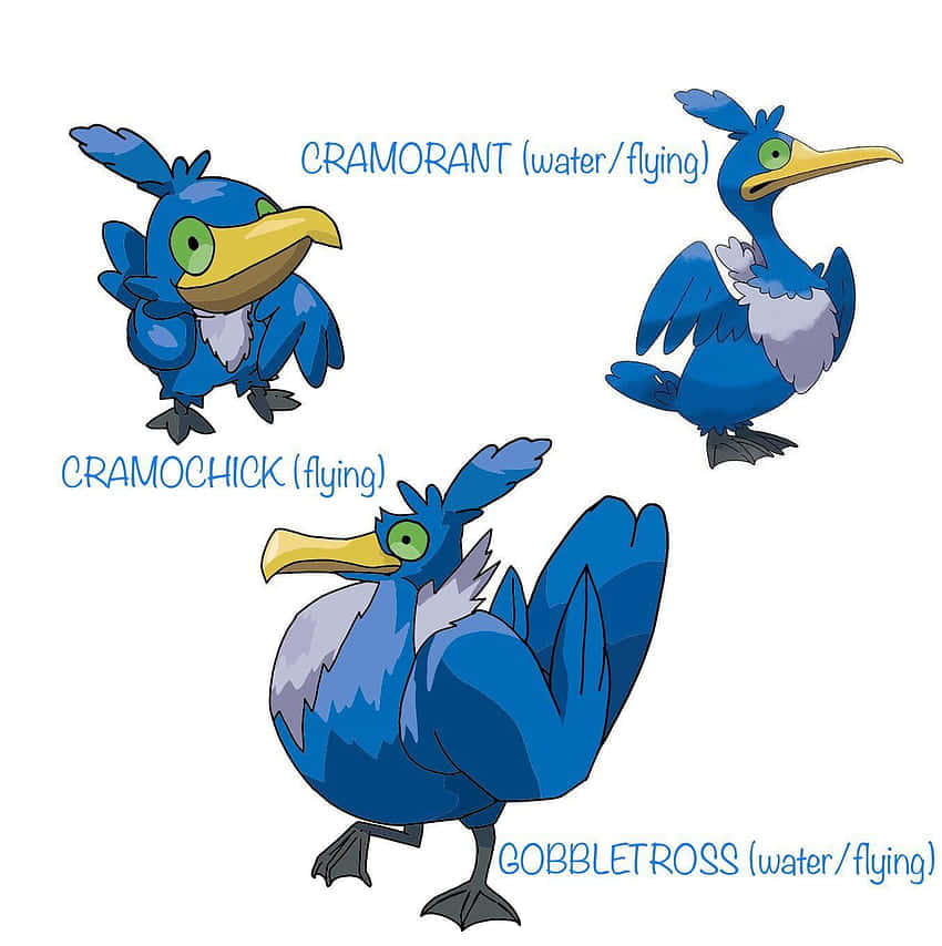 Pokémon Cramorant Eveolution Cycle Background
