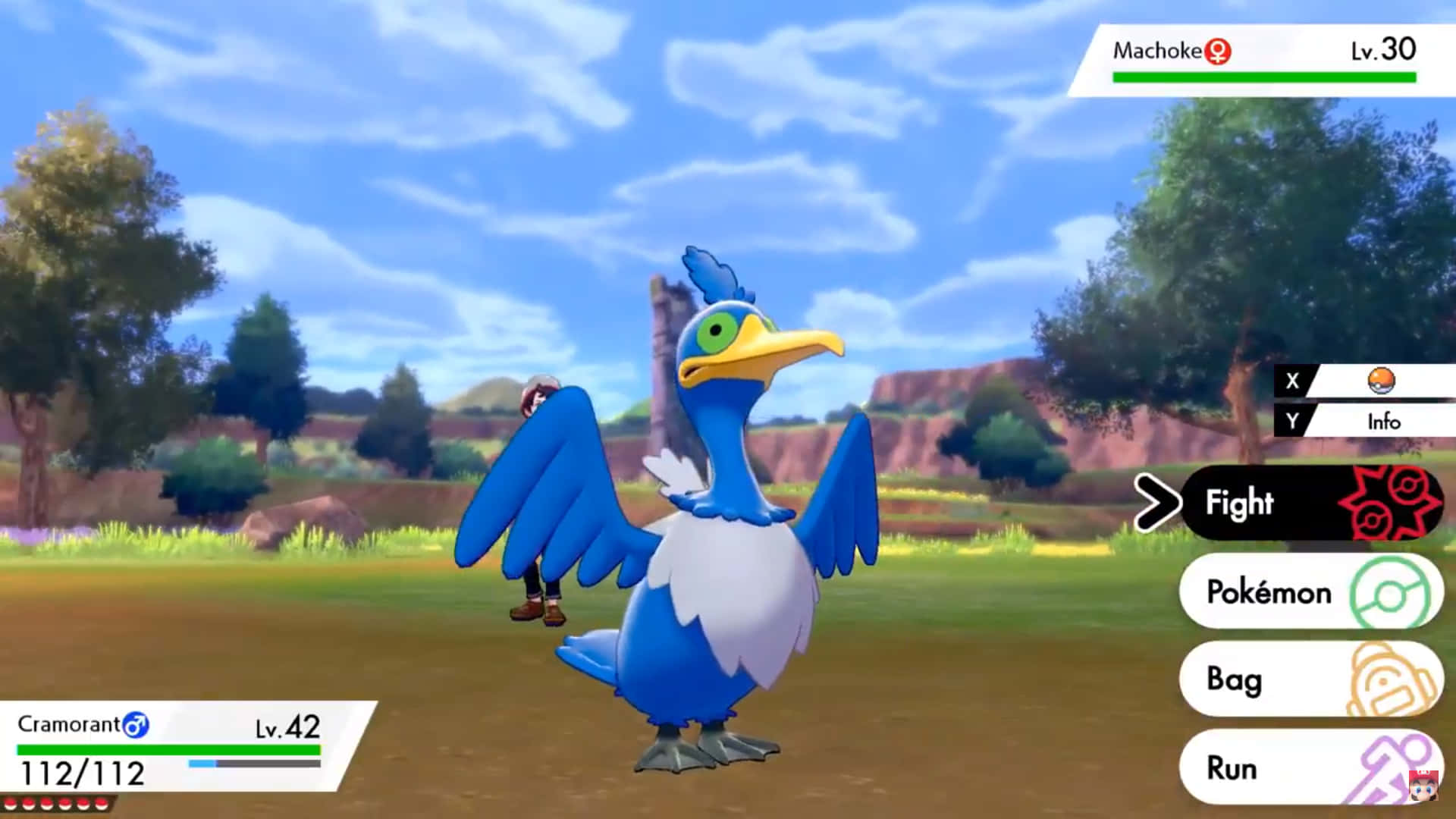 Pokémon Cramorant In Mobile Game Background