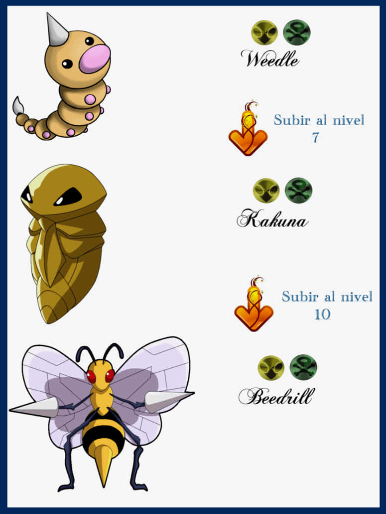 Pokemon Evolution Chart Weedle Kakuna Beedrill Background