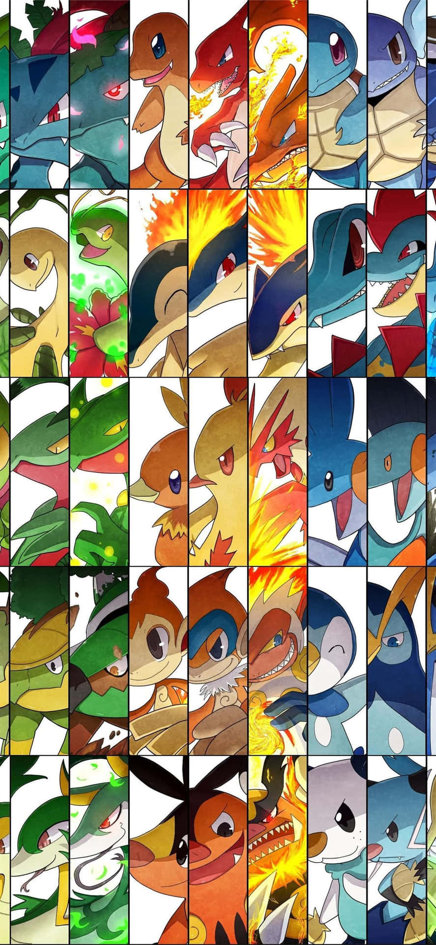 Pokemon Evolution Collage Featuring Meganium Background