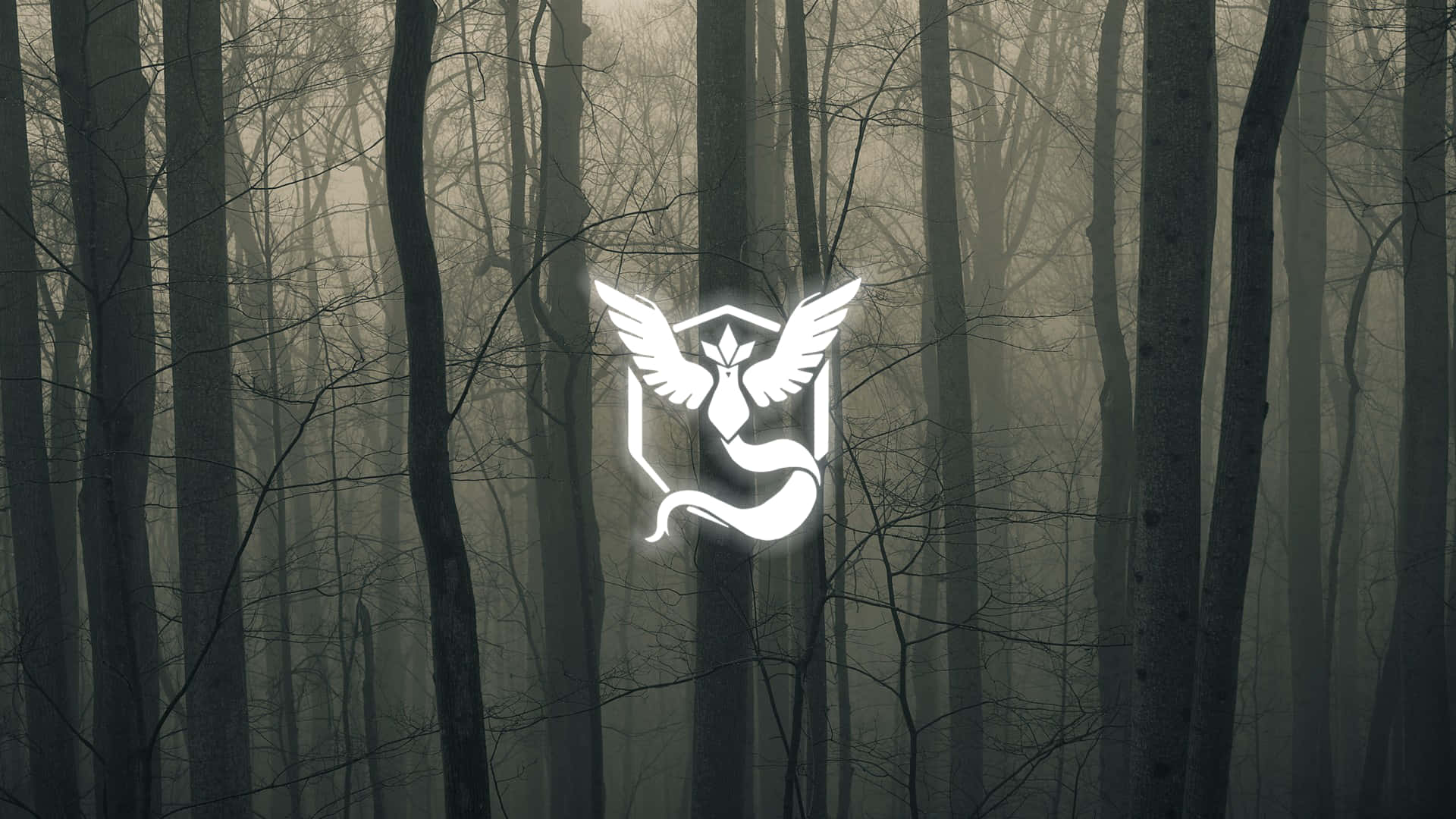 Pokemon Logo In The Forest Background