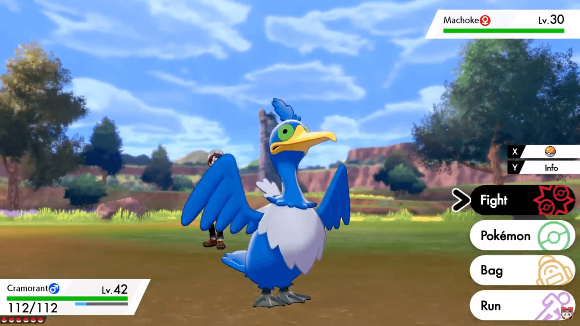 Pokémon Mobile Game Cramorant