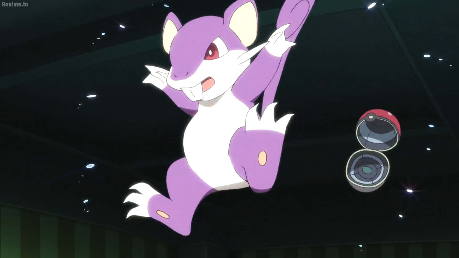 Pokemon Rattata Falling From The Top In Black Background.