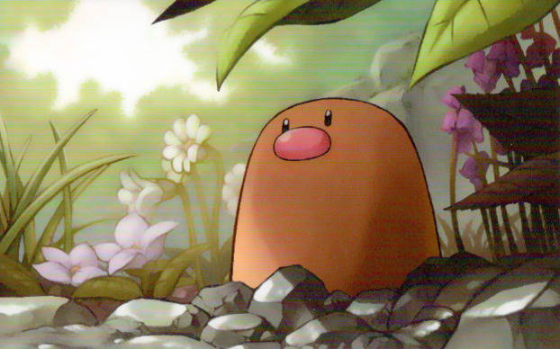 Pokémon's Diglett With Forest Flowers Background