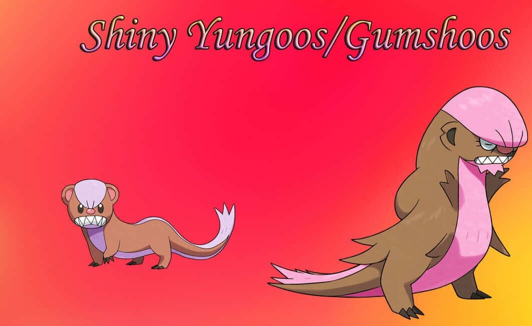 Pokémon Shiny Yungoos