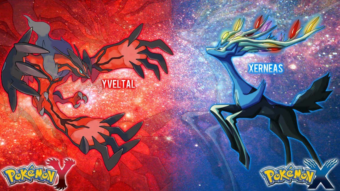 Pokemon X Vs Xy Background
