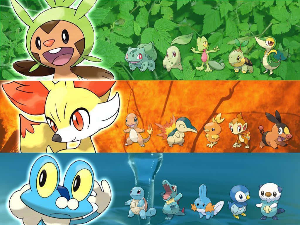 Pokemon Xy Yyyyyyyyyyyyyyyyyyyyyyyyyy Background