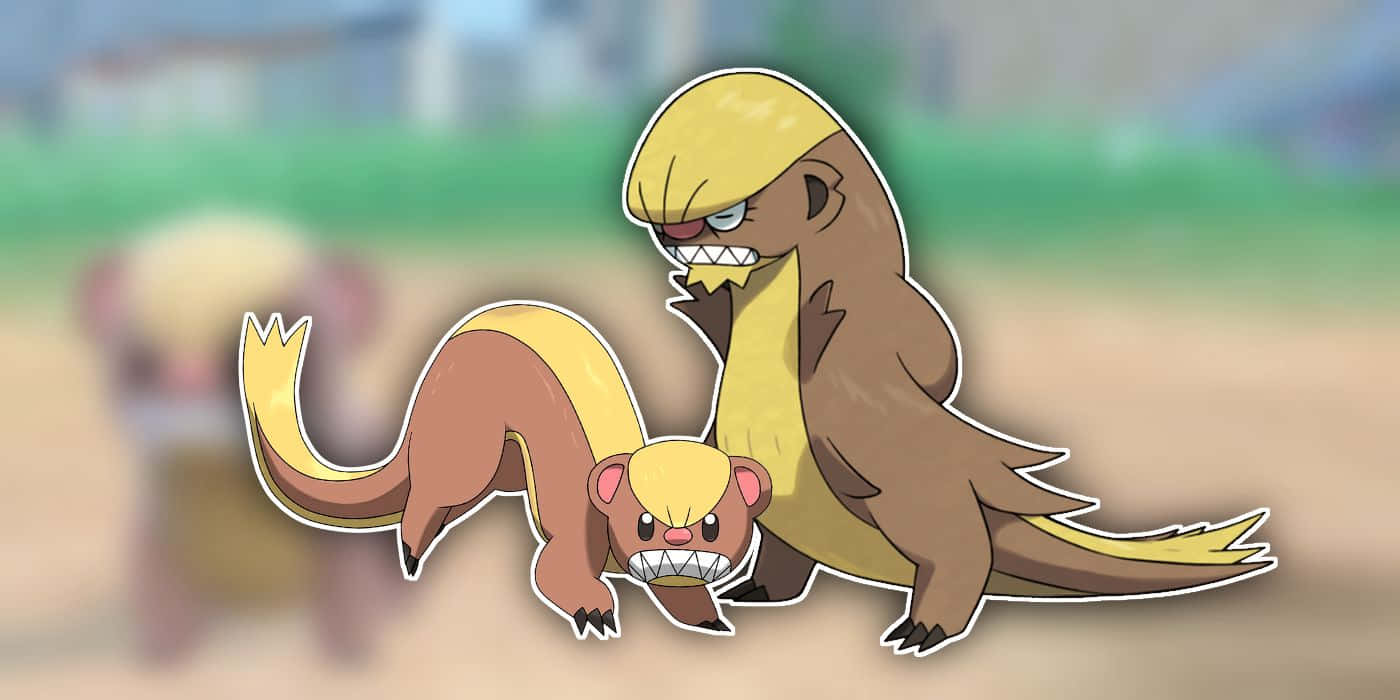 Pokémon Yungoos And Gumshoos In Blurry Backdrop Background