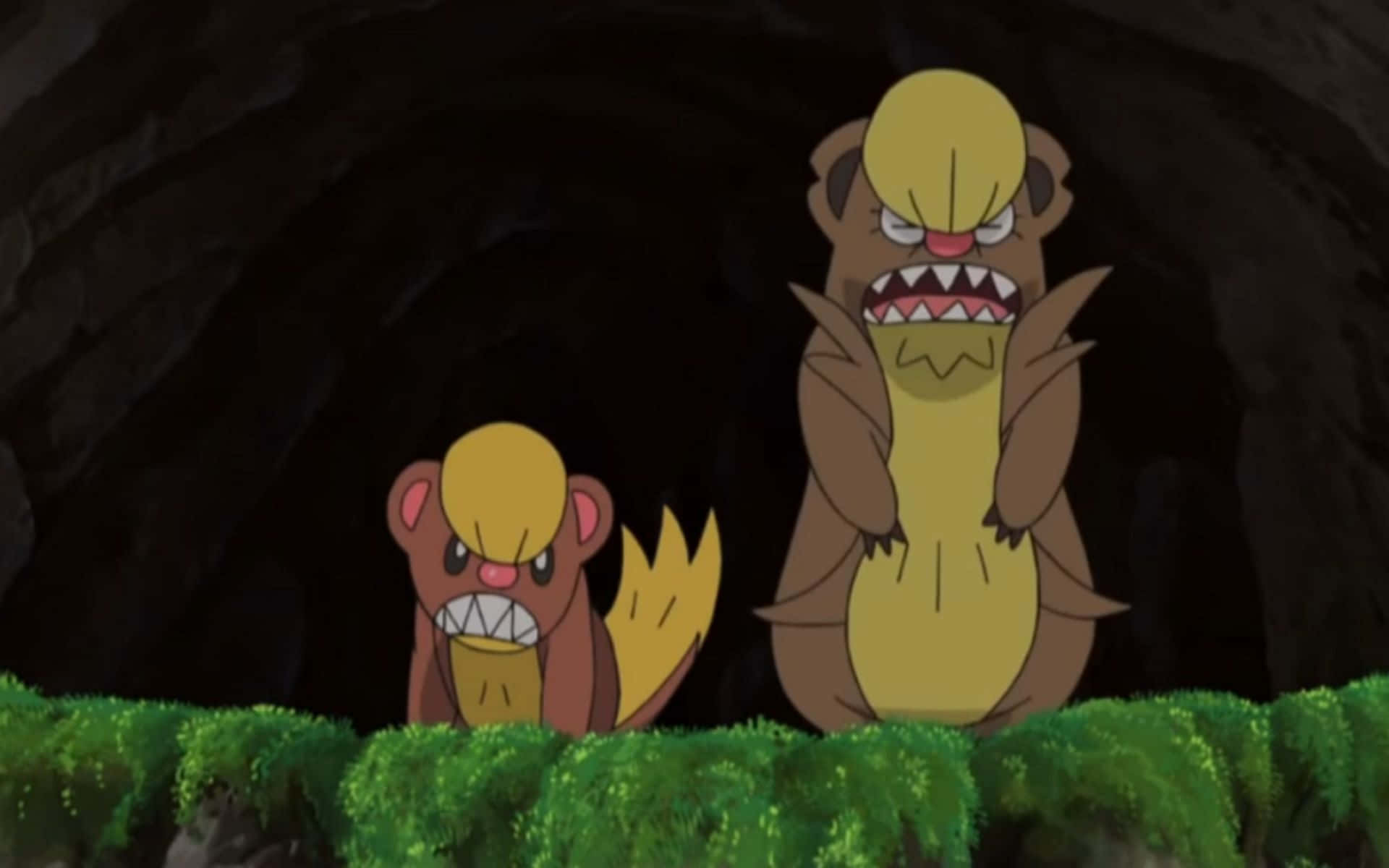Pokémon Yungoos And Gumshoos In Cave