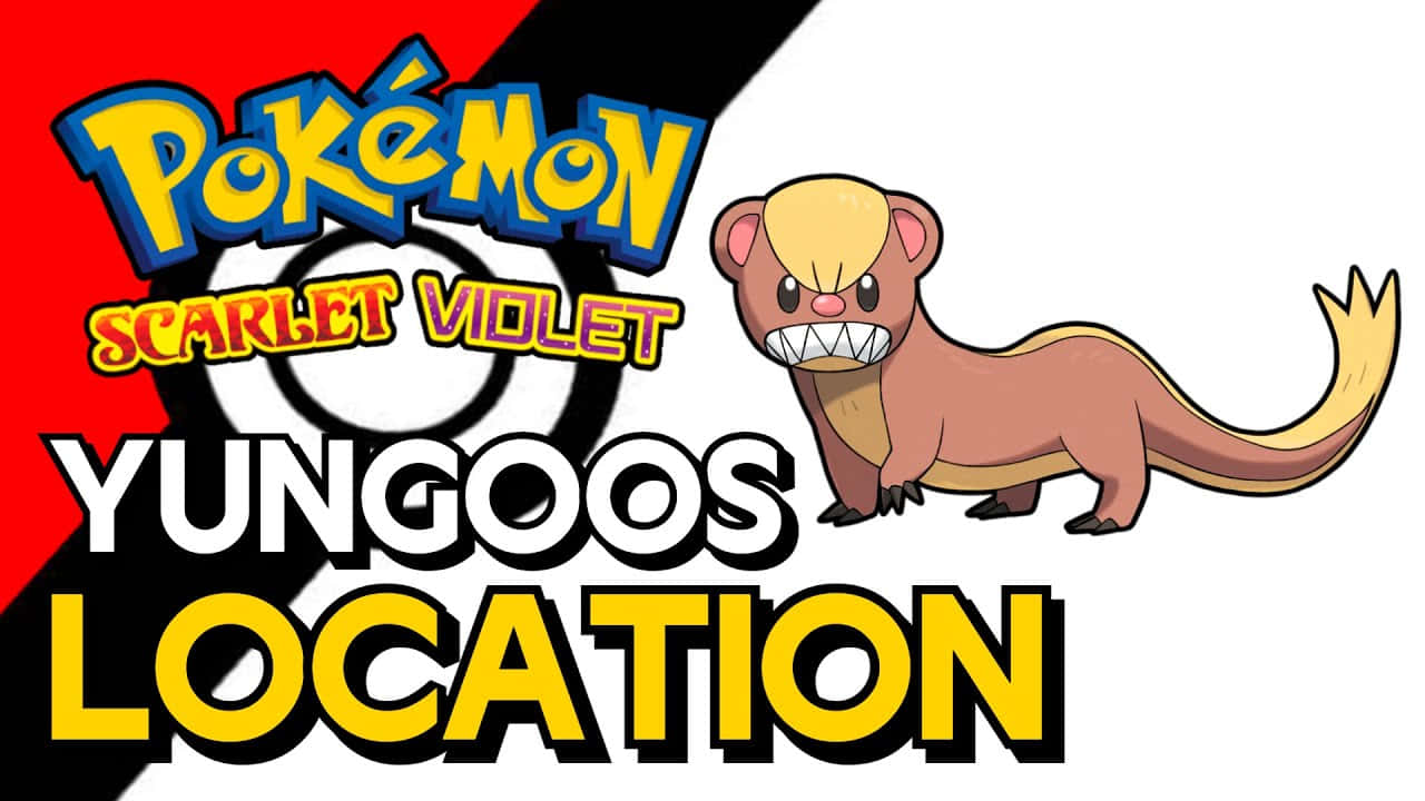 Pokémon Yungoos Location Poster