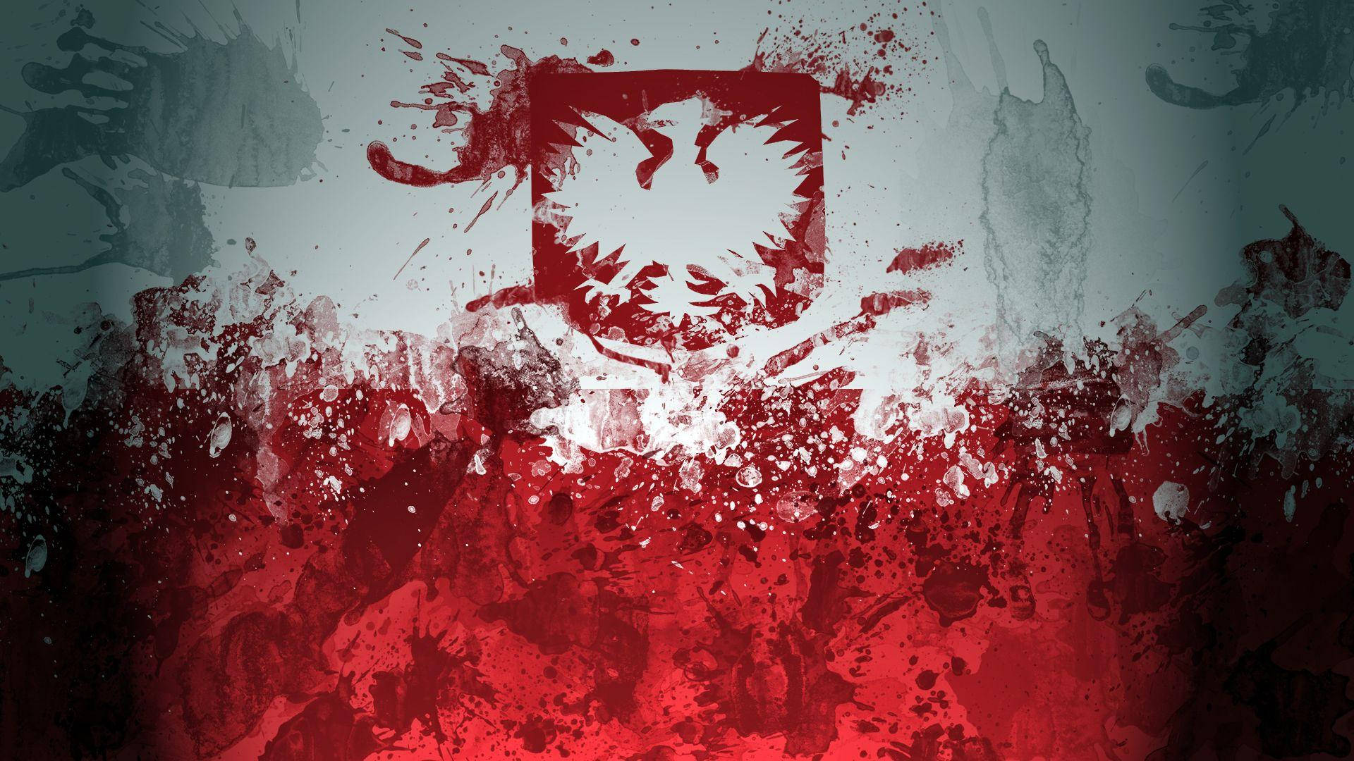 Poland Flag Graphic Background