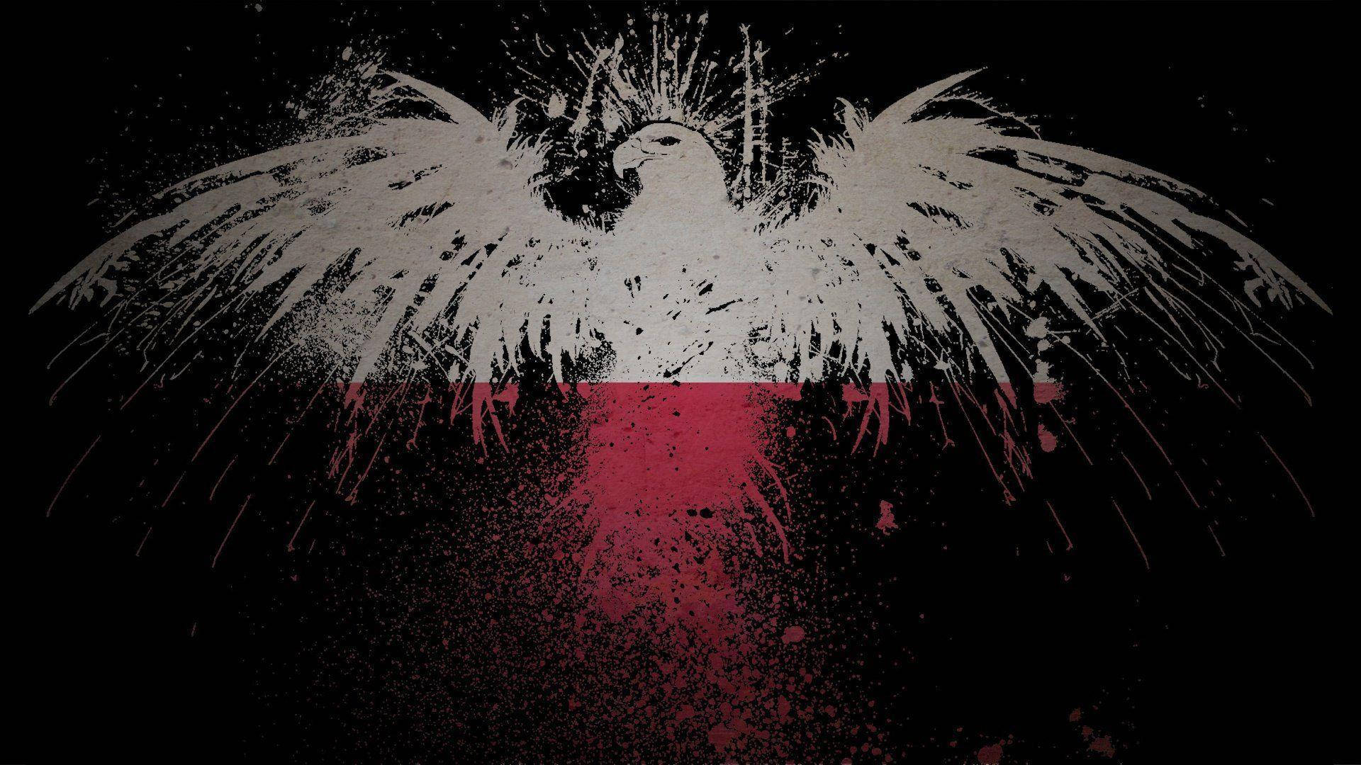 Poland Flag Paint Splatter Background