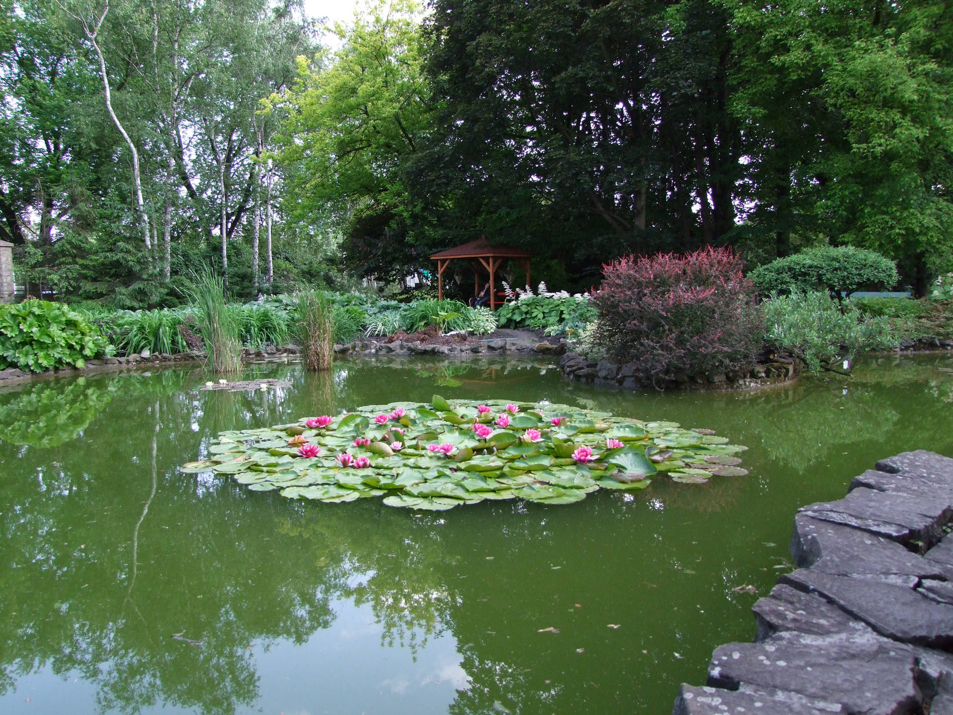 Poland's Jagiellonian University Garden Background