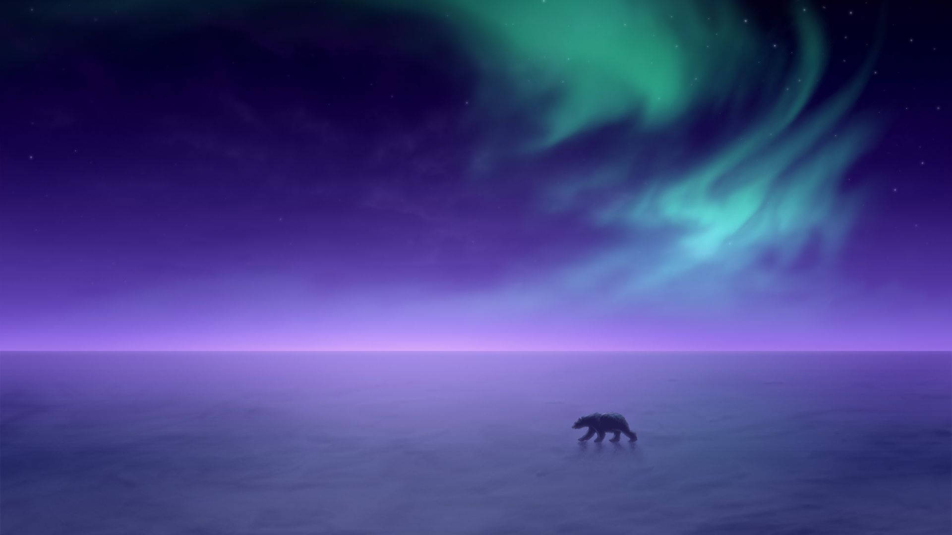 Polar Bear And Aurora Borealis Unique Hd Background