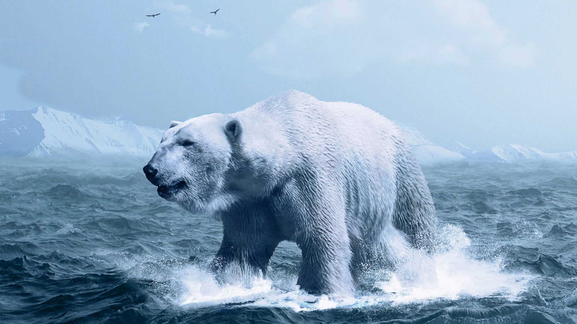 Polar Bear In Arctic Ocean Background