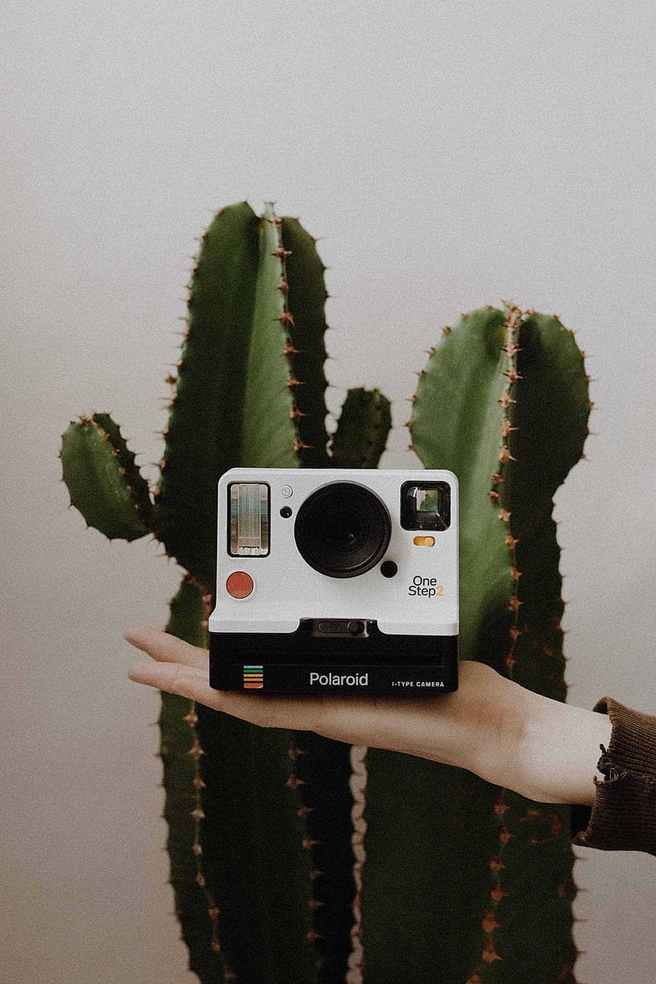 Polaroid Camera Cactus Background
