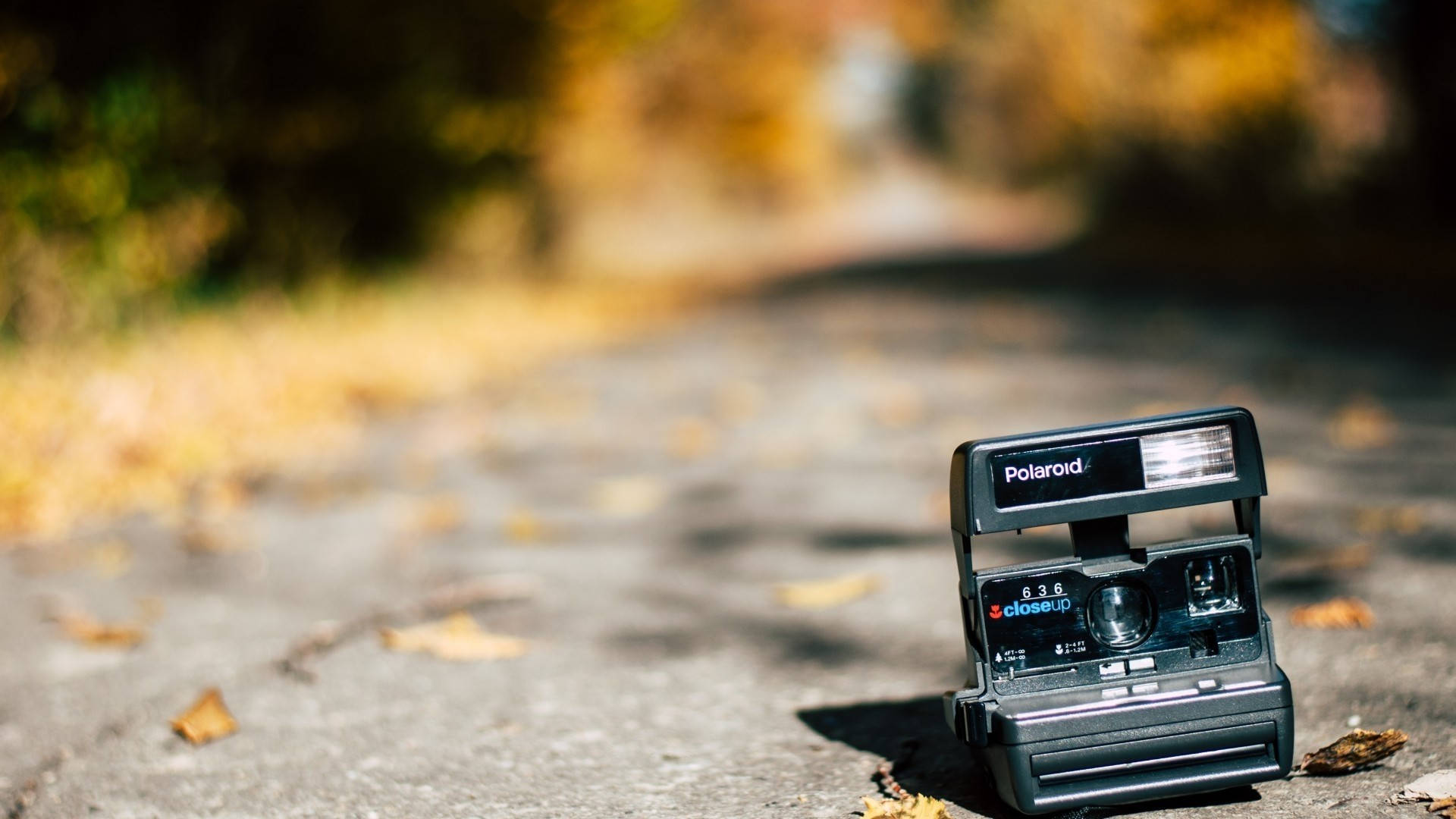 Polaroid Camera On The Road Background