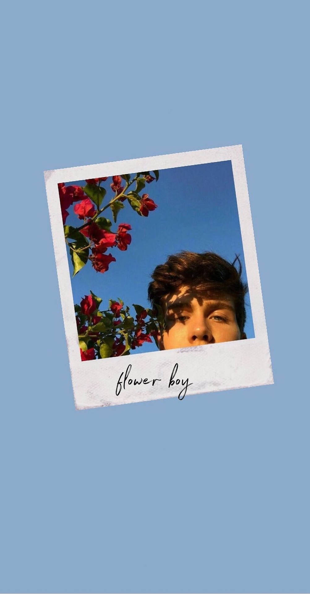 Polaroid Flower Boy Background