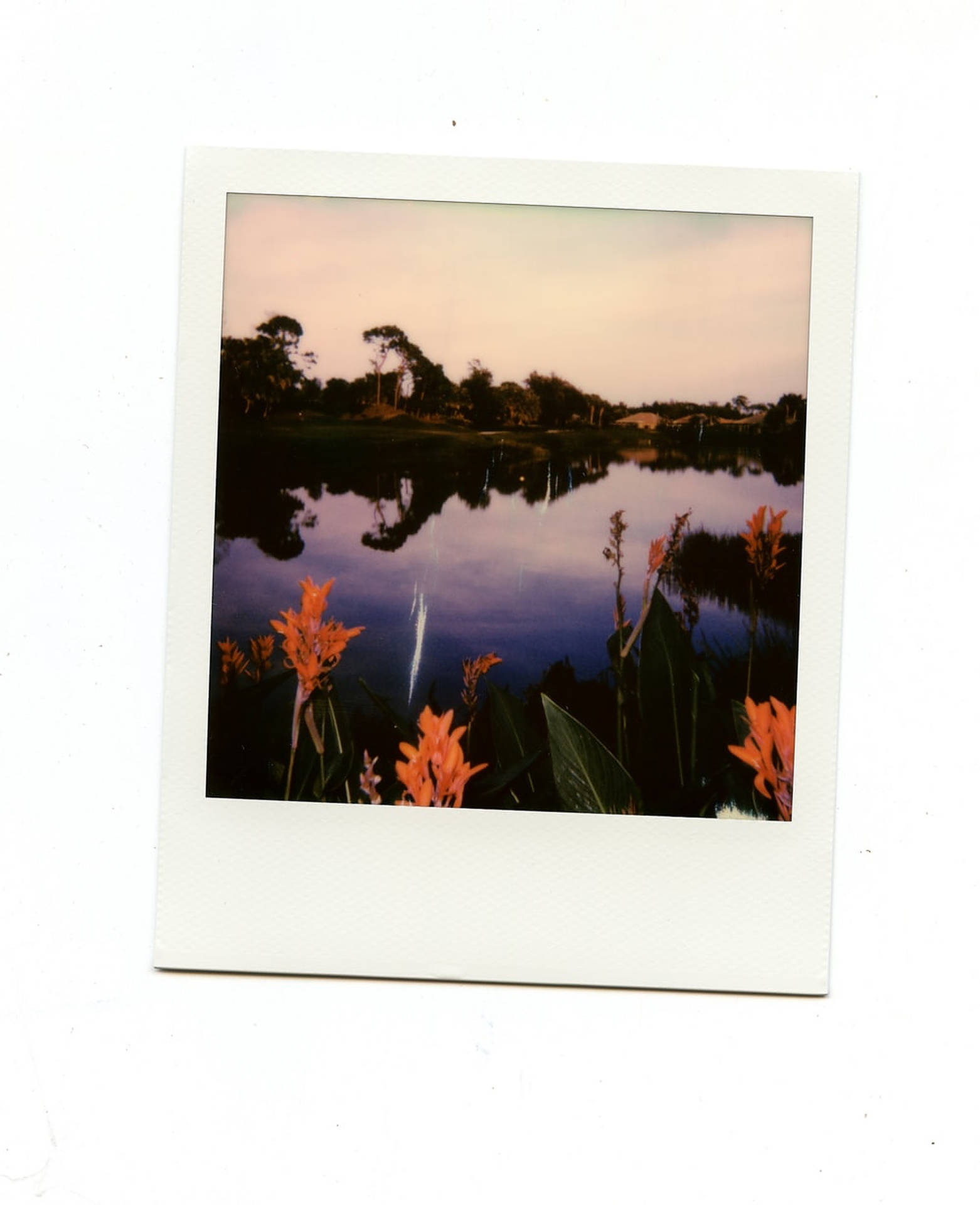 Polaroid Of A Lake Background