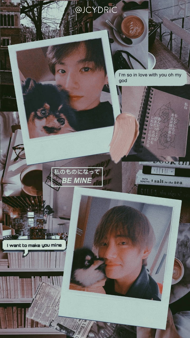 Polaroid Pets Taekook Bts Background