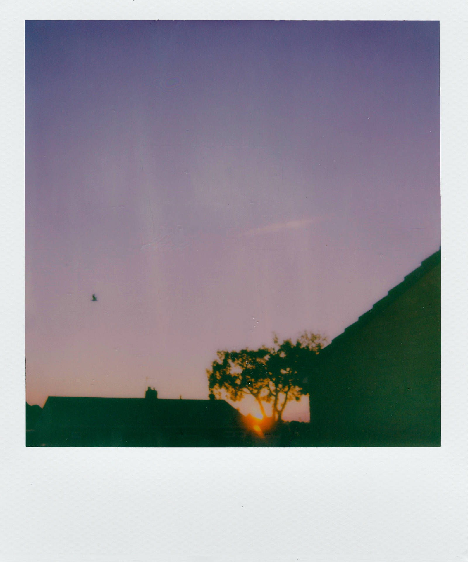 Polaroid Purple Sky Background