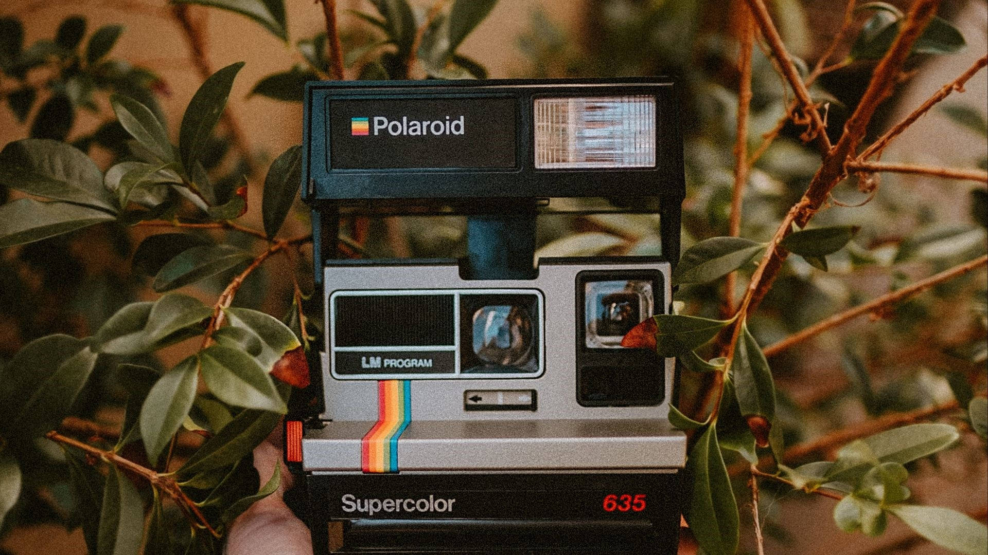 Polaroid Supercolor Background