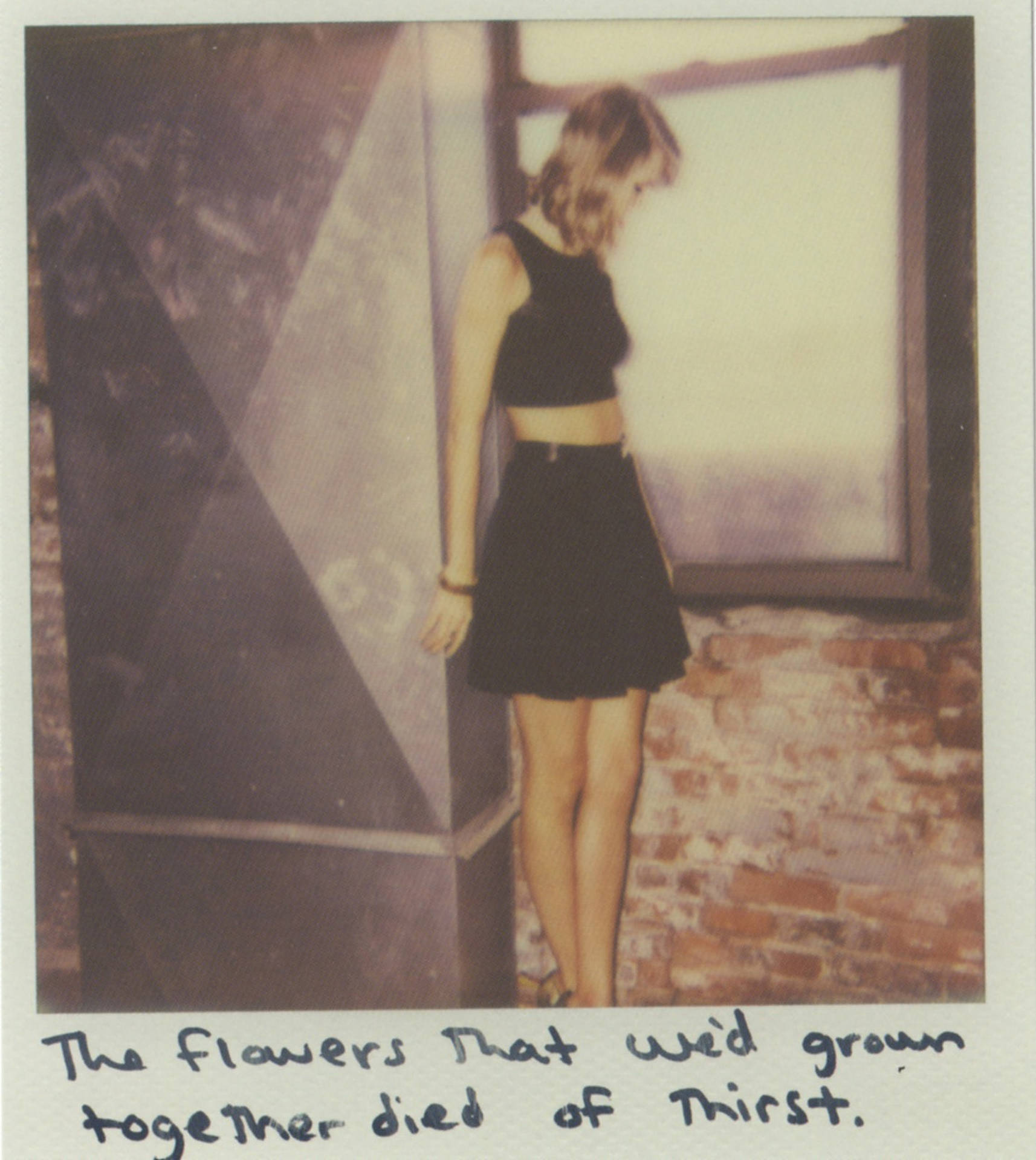 Polaroid Taylor Swift Background
