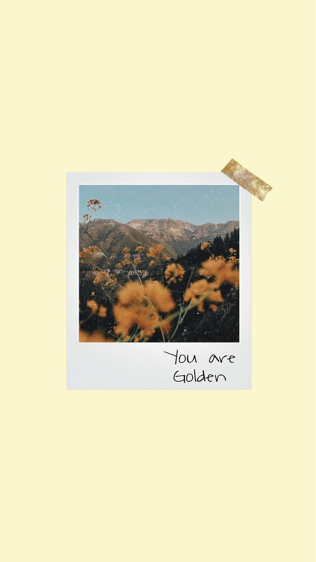 Polaroid Yellow Flowers Background