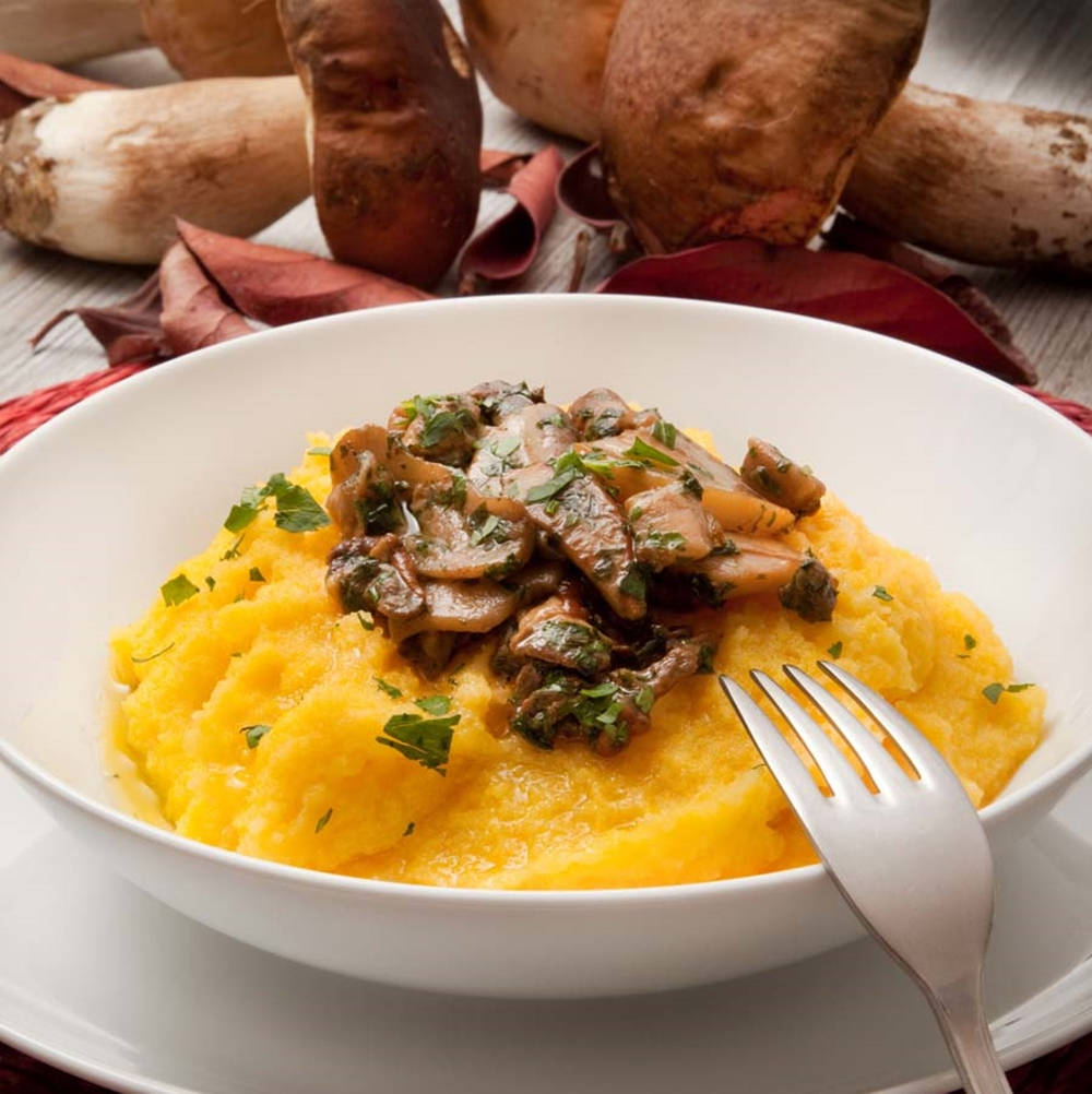 Polenta E Spezzatino Di Musso