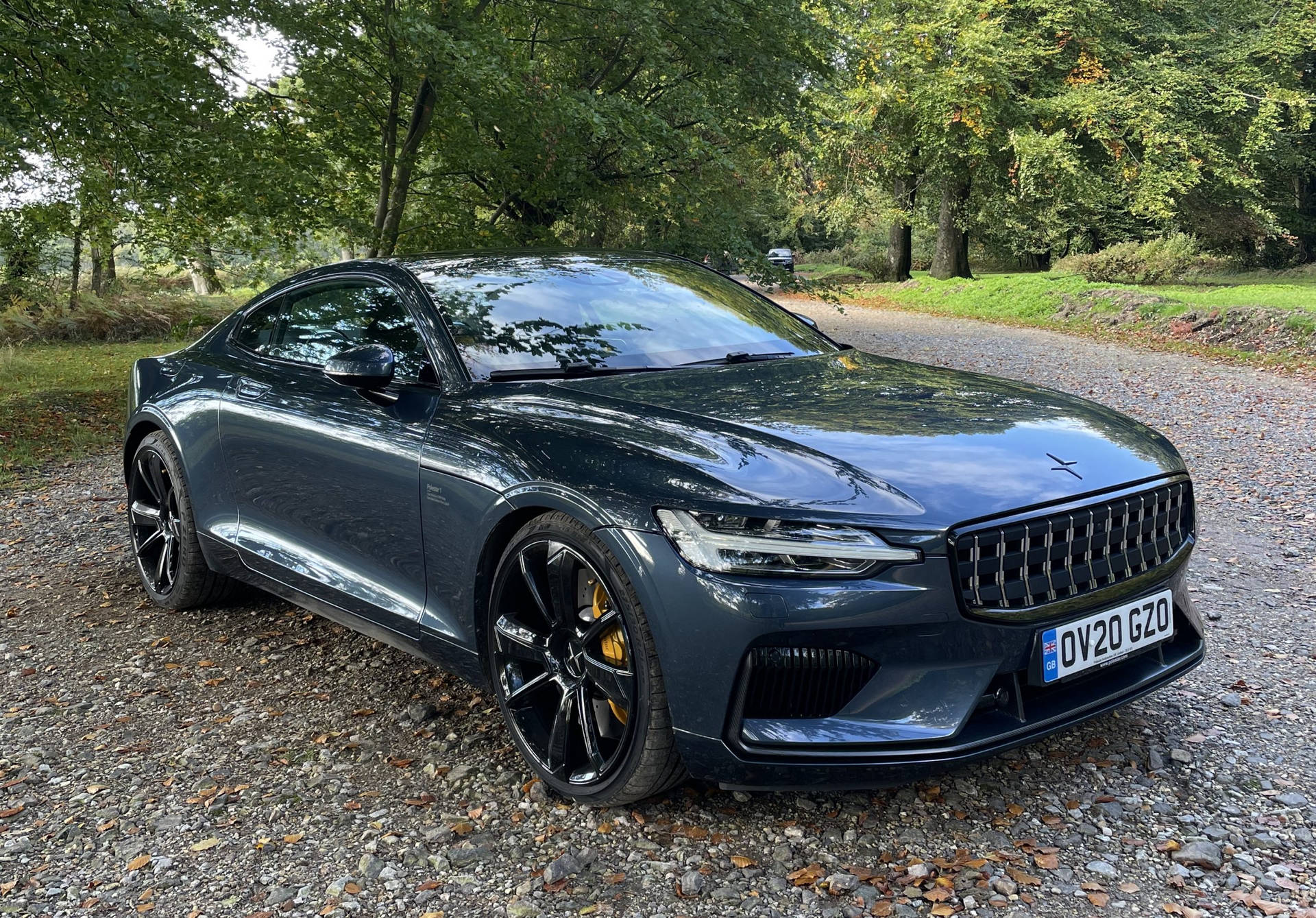 Polestar Car Parked In A Local Park Background