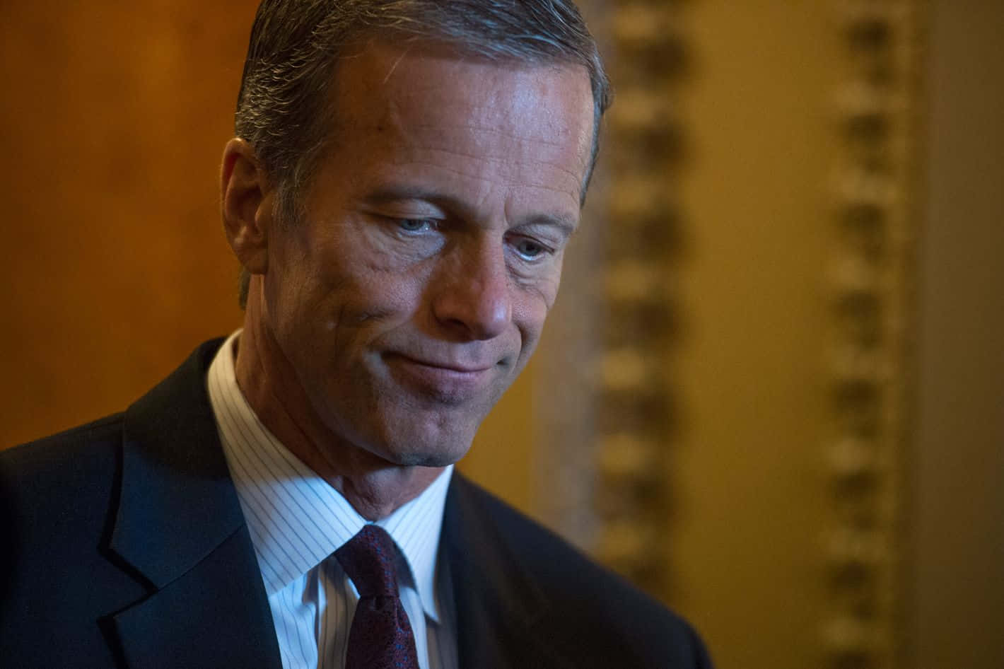 Politician John Thune Looking Down Background