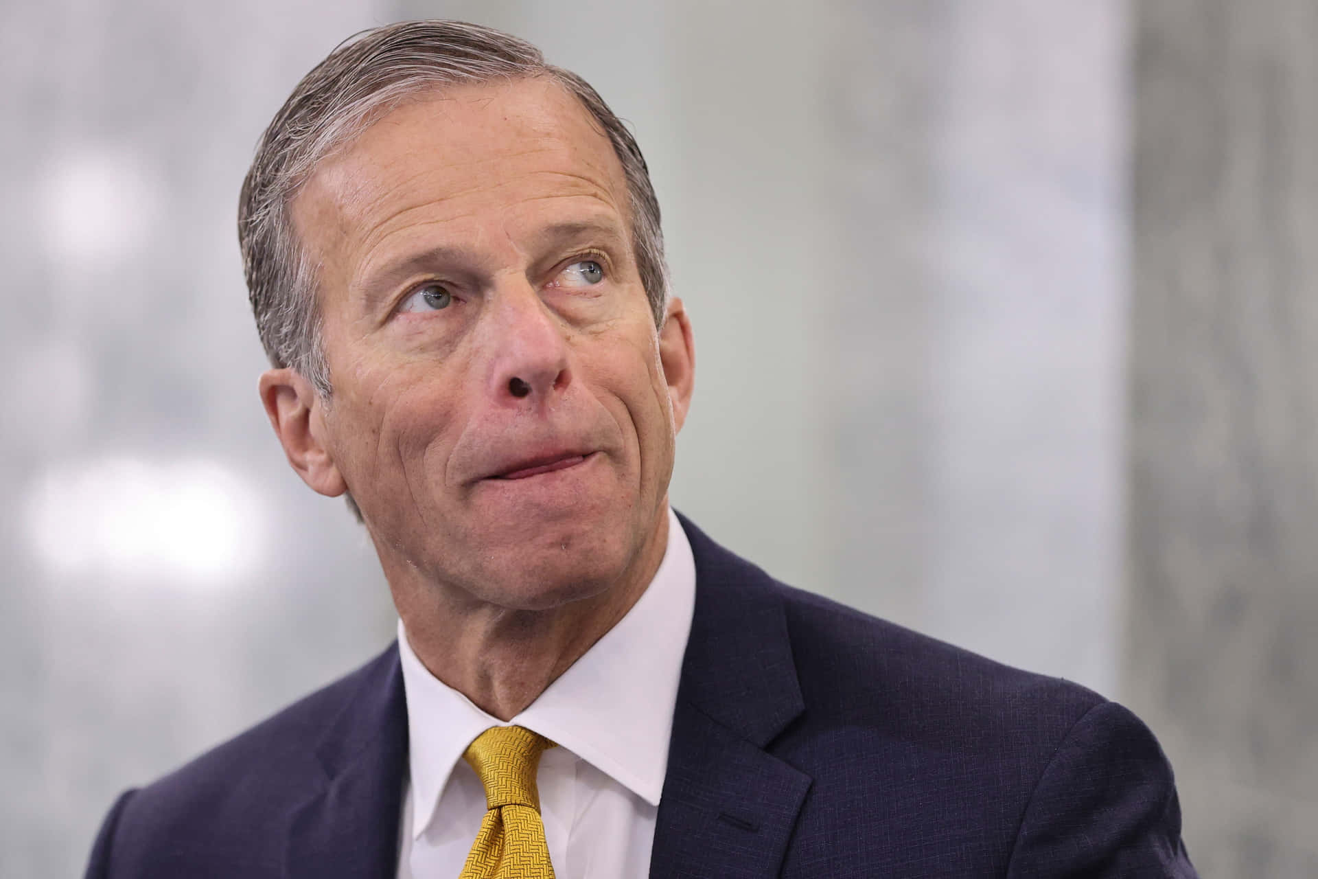 Politician John Thune Looking Up Background