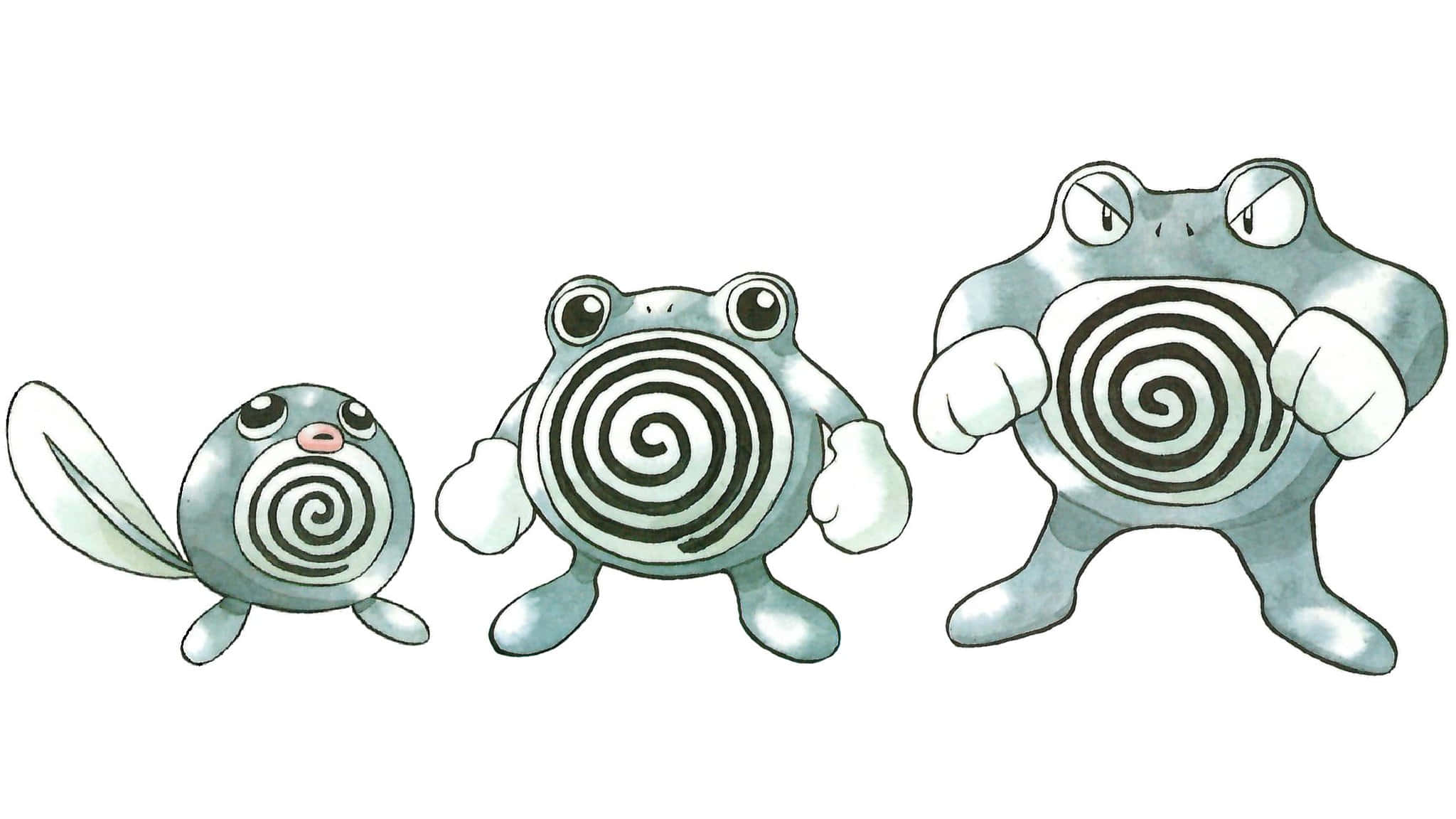 Poliwag Poliwhirl And Poliwrath Pokemon Background
