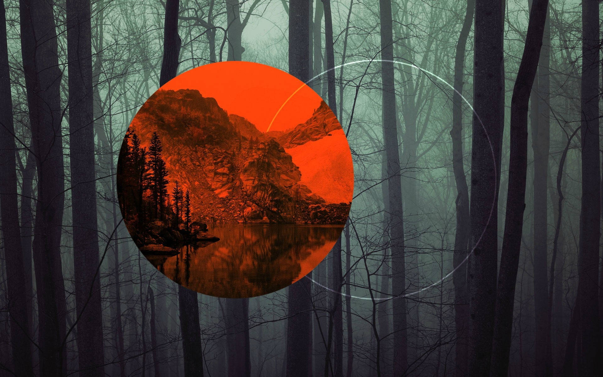 Polyscape Circles Dark Forest Background