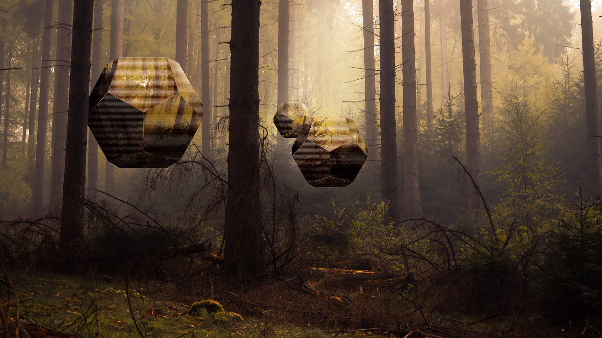 Polyscape Forest Trees