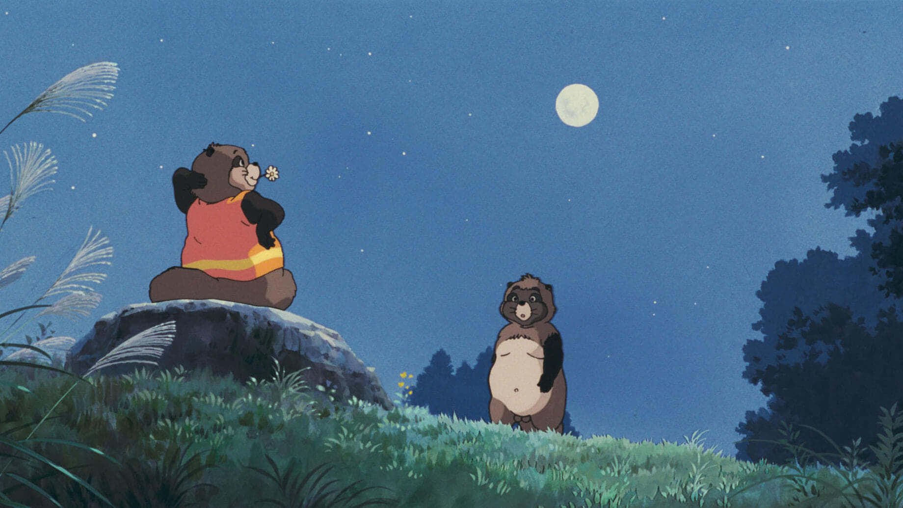 Pom Poko - A Beautiful Scene Of The Transformation Powers Of Tanuki Background