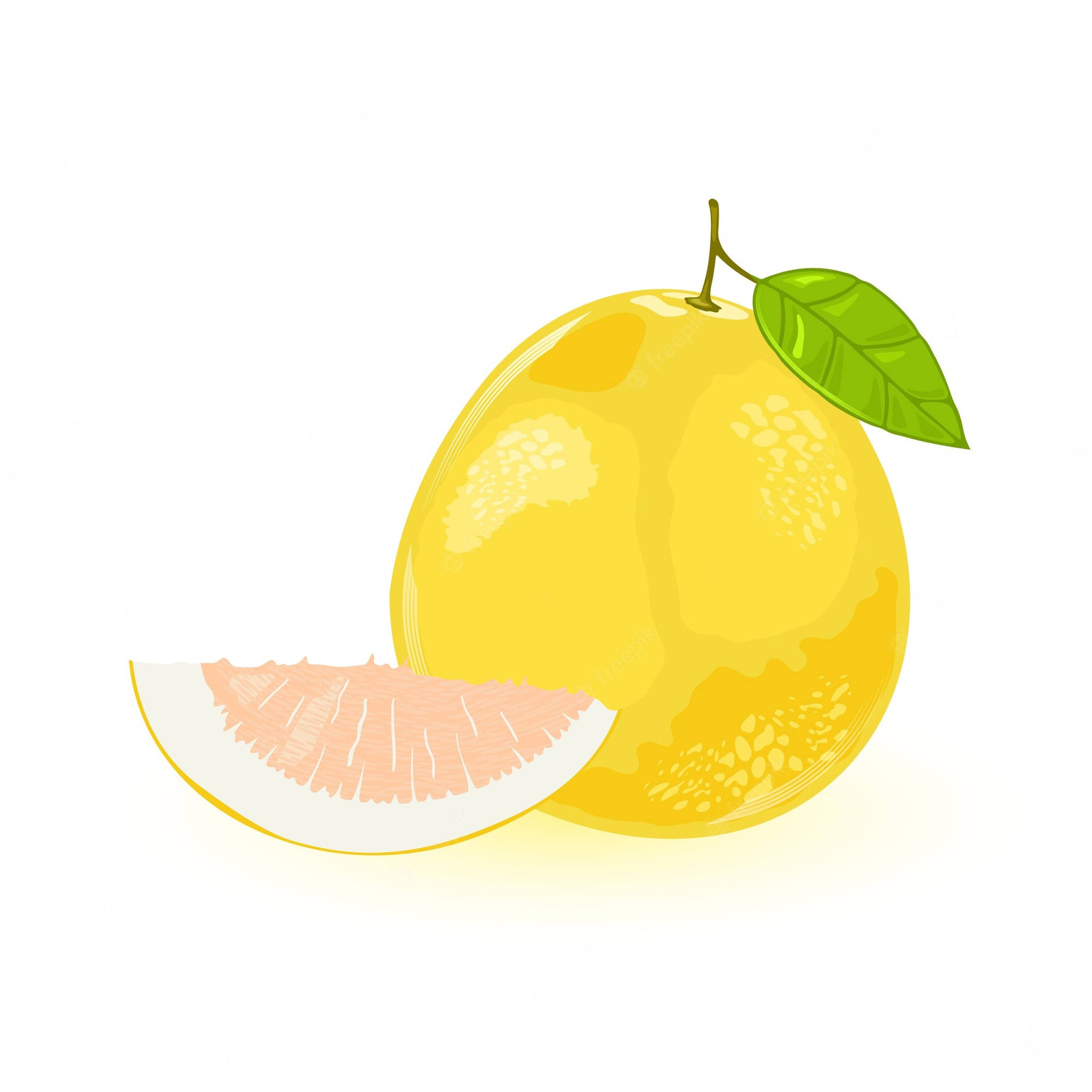 Pomelo Animated Art Background