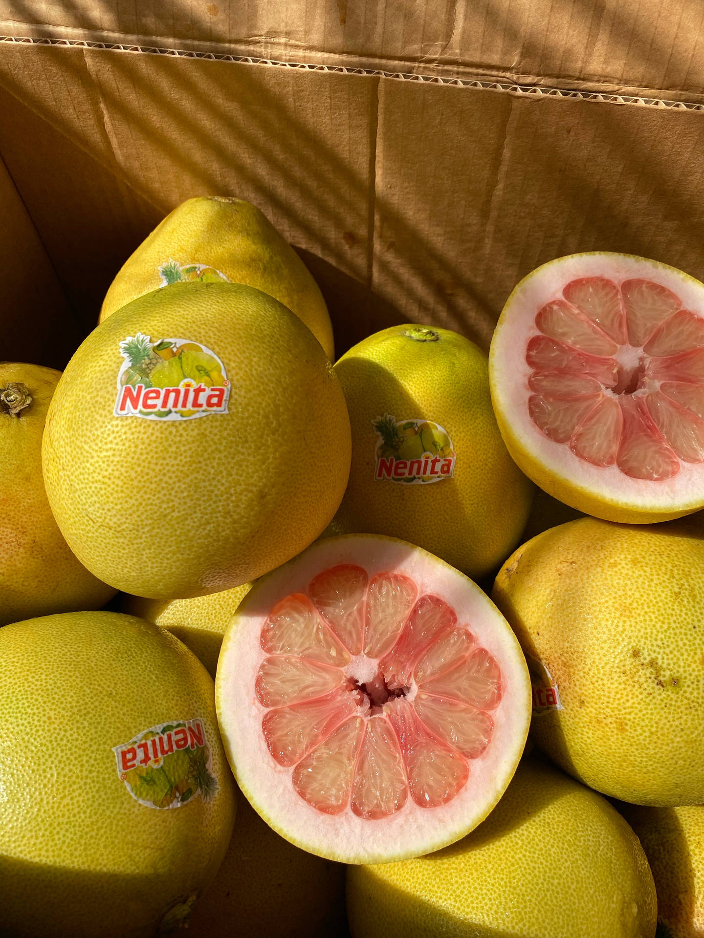 Pomelo Citrus Fruit Background