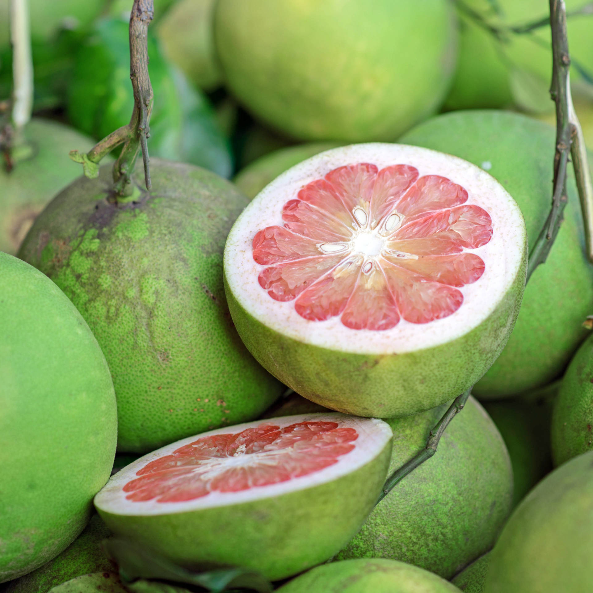 Pomelo Thick Green Background