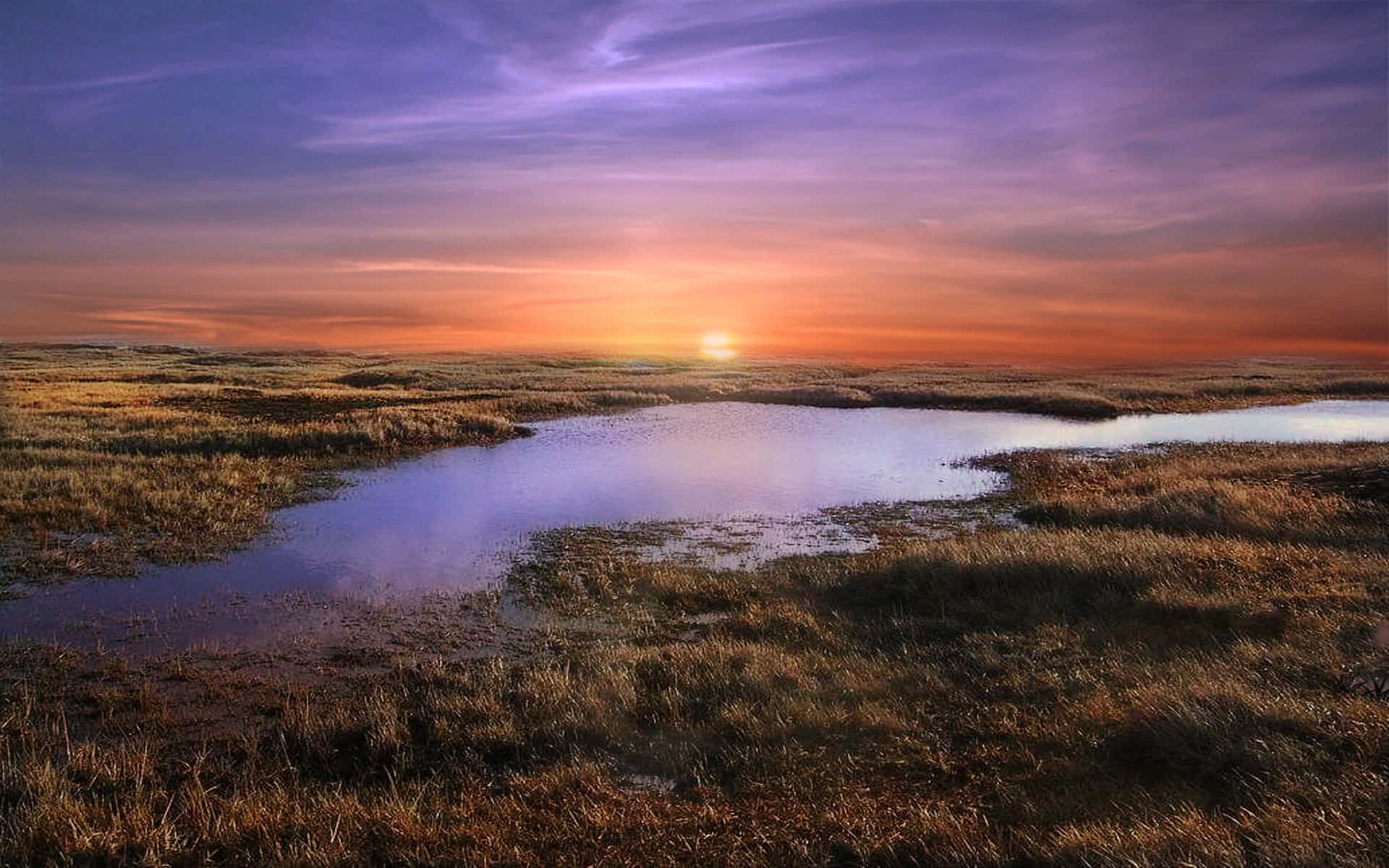 Pond In Africa Hd Background