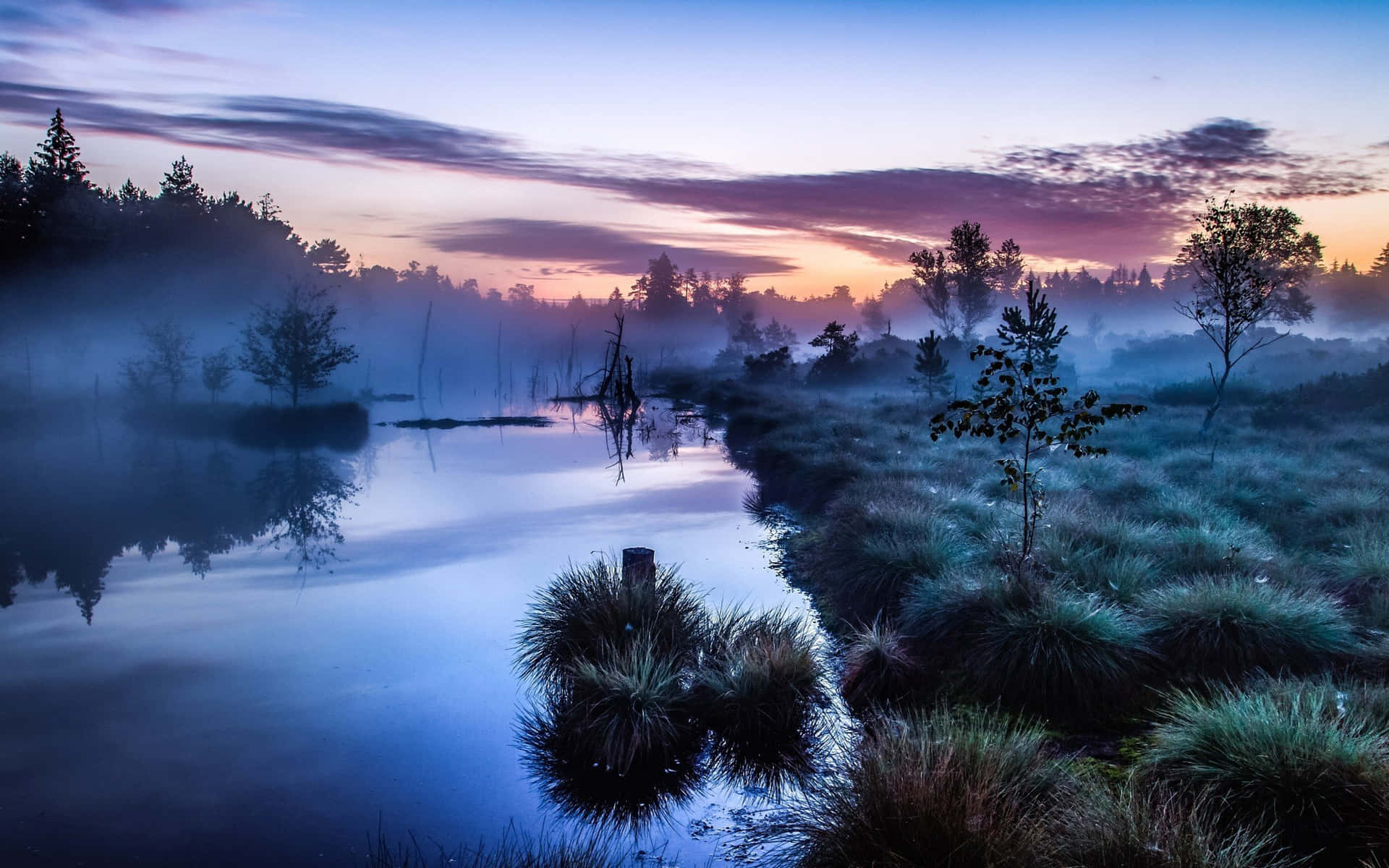 Pond Meets The Sunset Background