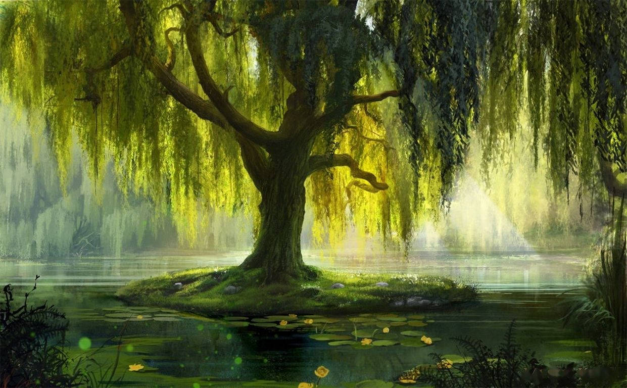 Pond Willow Tree Art Background