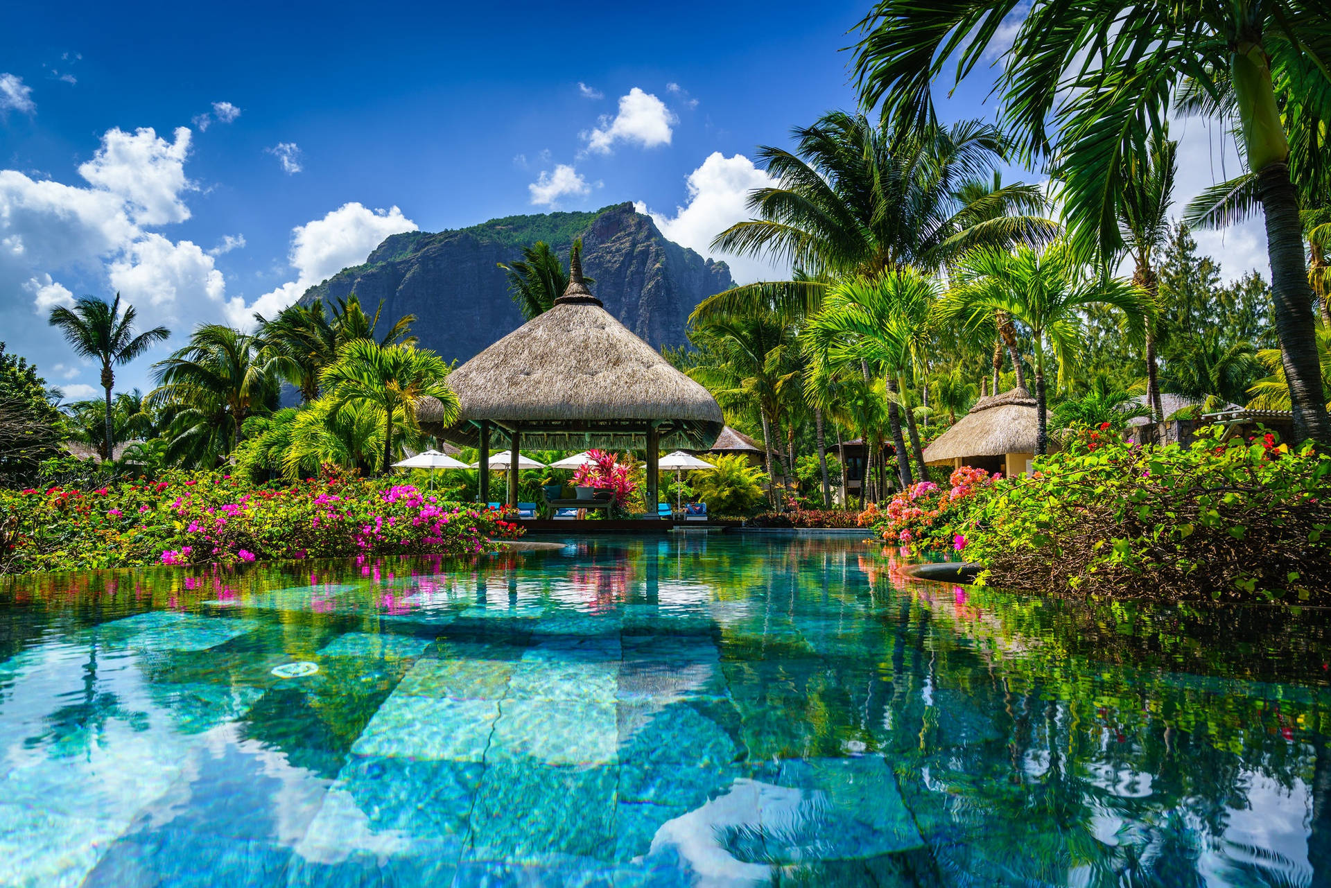 Pool In Mauritius Background