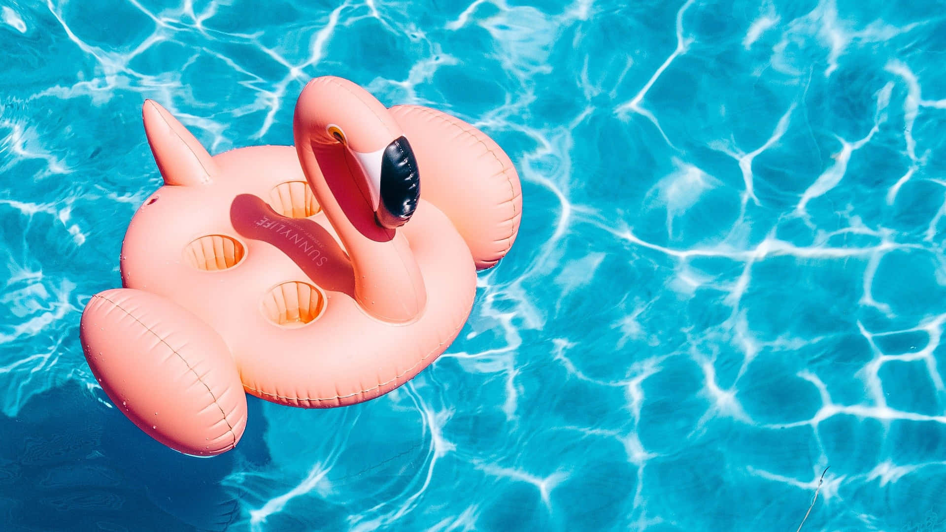 Pool Water Flamingo Floater